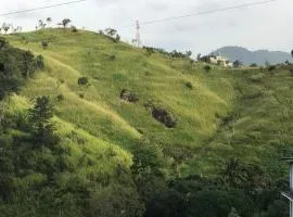 Tikiri Latha Hanthana