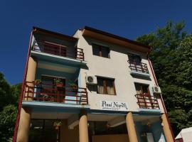 Pensiunea Pinul Negru, hotel v mestu Băile Herculane
