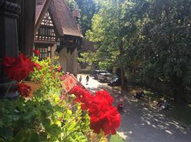 Complex La Tunuri - Vila Economat, hotel in Sinaia