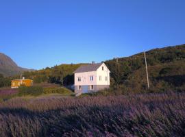 Steinbakk - Vestresand Lofoten, vacation rental in Bøstad