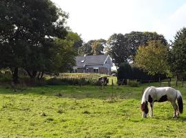 Pöhl am Nationalpark Eifel, holiday rental in Schleiden