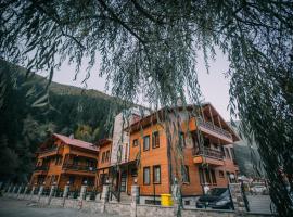 Turkuaz Apart, Hotel in Uzungöl