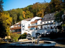 Hotel U Kozicky, hotel v destinaci Teplice