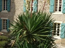 Domaine Saint Andrieu