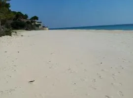 Mare a Santa Margherita