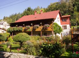 Willa Róż w Międzygórzu, hotel in Miedzygorze