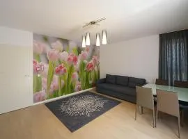 Apartamente Olivero