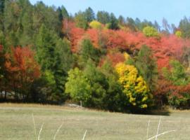 Bed & Breakfast Barba Bertu