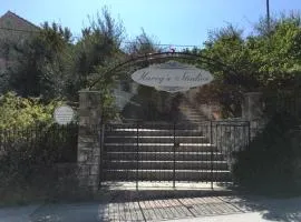 Harry's Studios 1