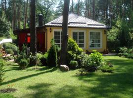 Domik v lesy, holiday rental in Lyutezh