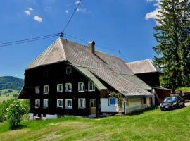 Echtes Schwarzwaldhaus - Traditionell & Modern, apartmán v destinaci Bernau im Schwarzwald