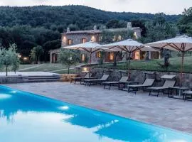 Casa Uliveto in Molino Vitelli