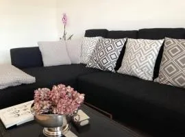 AVLiving City INSIDE NINE Basel