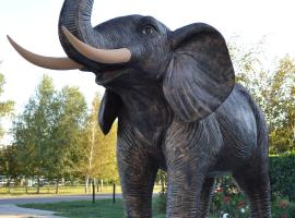 Hostel Korona, hostel v destinaci Verbovatovka