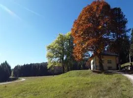 Chalet Musiera