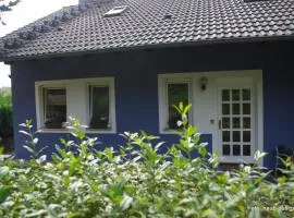 Taunus Im Grünen