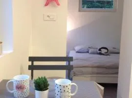 Jardin au bord de mer