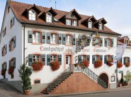 Flair Hotel Schwanen, hotel v destinaci Bad Bellingen