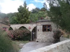 Lantana Stone House