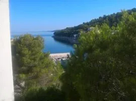 Zirje Accommodation