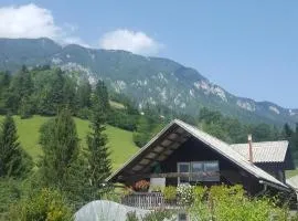 Farm stay Majdač