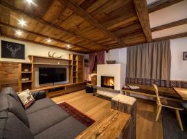 Chalet Flierer, cabin in Rodengo