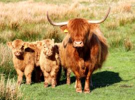 Drumbuie Farm B&B, hotel u gradu 'Drumnadrochit'