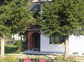 Rooms Danica, guest house in Donji Babin Potok