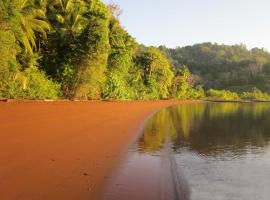 Jungle Retreat, ubytování v soukromí na pláži v destinaci Rincón