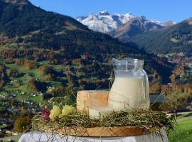Ferienwohnung Därflihof, hotel v destinaci Bartholomäberg