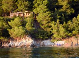 Villa Seagull Stone, holiday rental in Skiathos Town