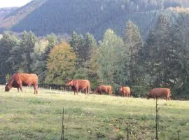 Urlaub auf dem Bauernhof