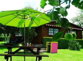 Cabanas la Chicharra, hotel near Texolo Waterfall, Xico