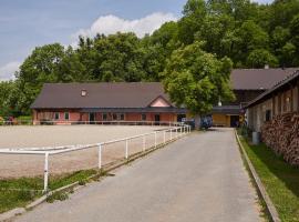 Penzion Hradisko, cabaña o casa de campo en Rožnov pod Radhoštěm