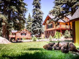 Alpen Way Chalet Mountain Lodge ลอดจ์ในเอเวอร์กรีน