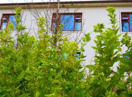 Guesthouse Kálfafellsstadur, hotel v destinaci Kálfafellsstaður
