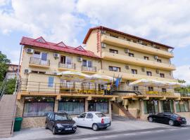 Pensiunea Domneasca, guest house in Piteşti