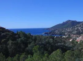 Côte d'Azur