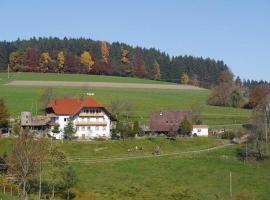 Dischhof, feriegård i Biederbach Baden-Württemberg