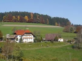 Dischhof