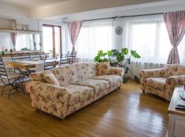 Silvia's Apartment, готель біля визначного місця Зоопарк "Беняса", у місті Voluntari