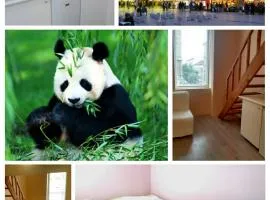 Green Panda Apartments