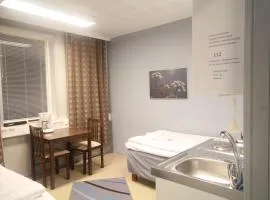 Jääskän Loma Hostelli Antin Tupa
