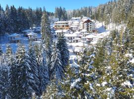 Hotel Forest Glade, serviced apartment in Pamporovo
