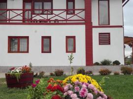 Pensiunea Simona, hotel with pools in Perişor