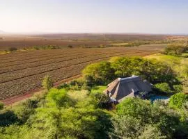 Hluhluwe Lodge by ANEW