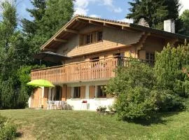 Chalet les Marmottes
