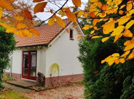 Dennenhuis, cabaña o casa de campo en Vaassen