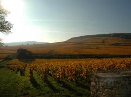 Les Chambres Buissonnieres, bed & breakfast a Ladoix Serrigny