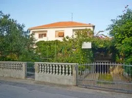 Apartments Ante